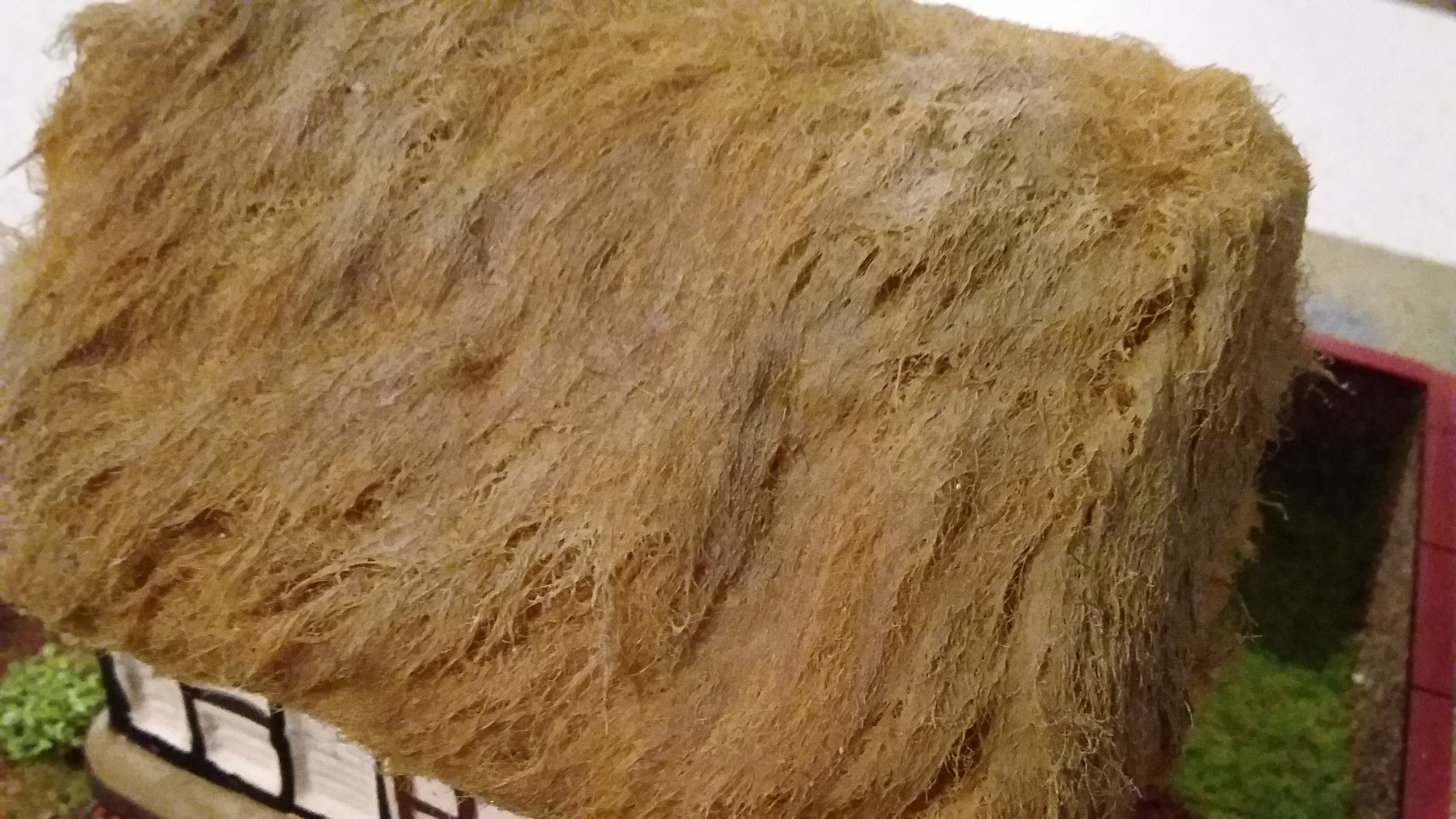 20190104_045519